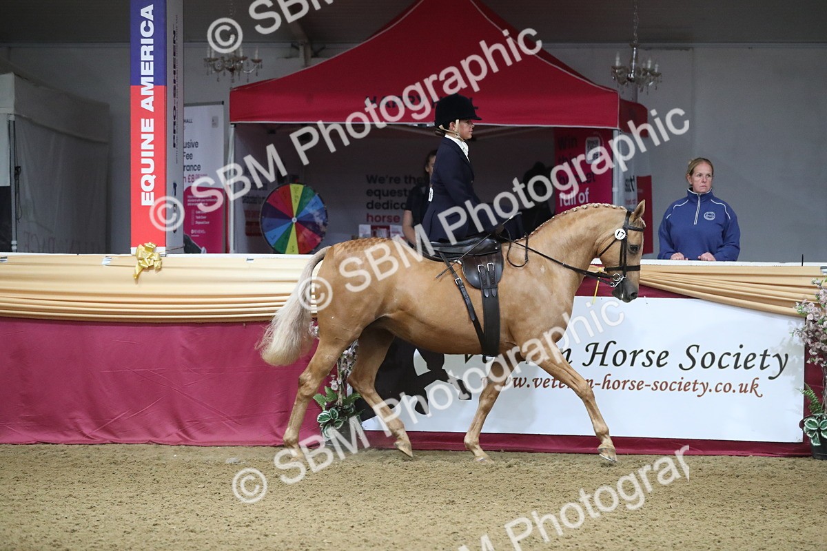 SBM_09263 - Class 101 Equitation (best rider), Junior