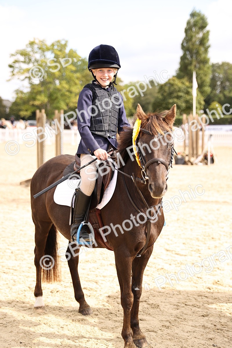 SBM_64020 - J12 - Junior Pony 55cm Championship
