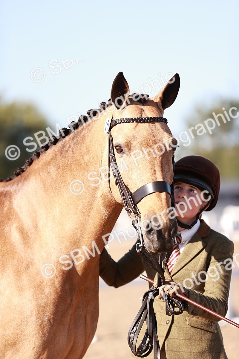 SBM_22072 - Class 703 - IH Coloured