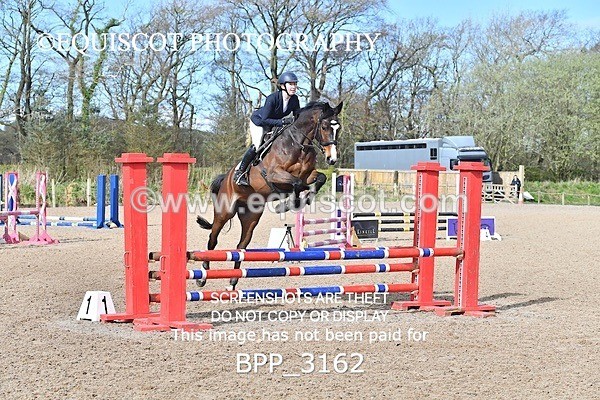 BPP_3162 - CLASS 1 Clear Round Show Jumping