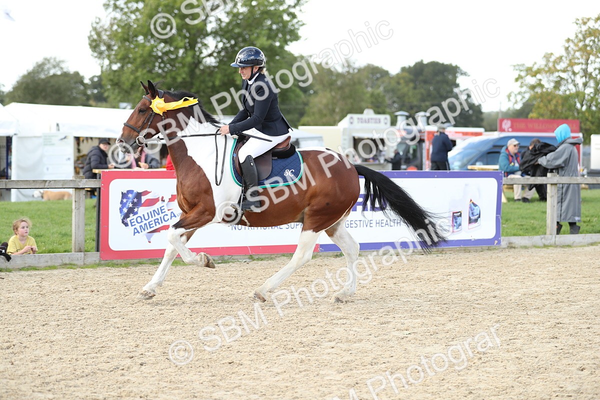 SBM_06592 - J29 - Senior Horse & Pony 65cm Championship