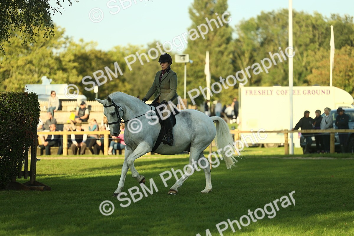 SBM_55544 - S14 - Riding Club Horse