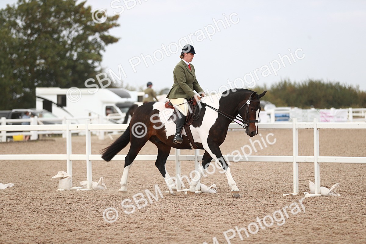 SBM_16650 - Class 214 Ridden Cob