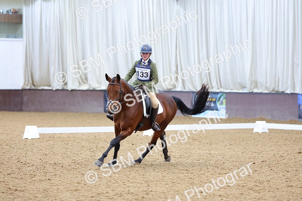 SBM_003831 - Novice