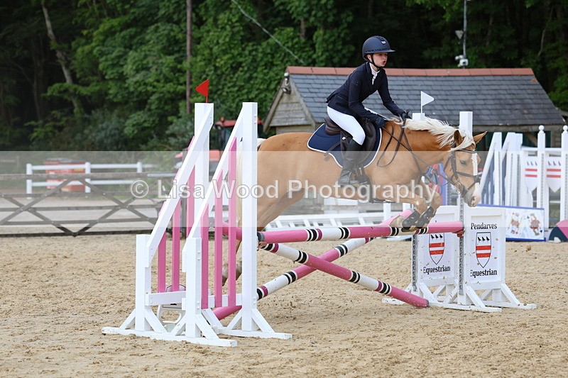 3E7A8492 - Class 13: Pony Discovery/90cm open