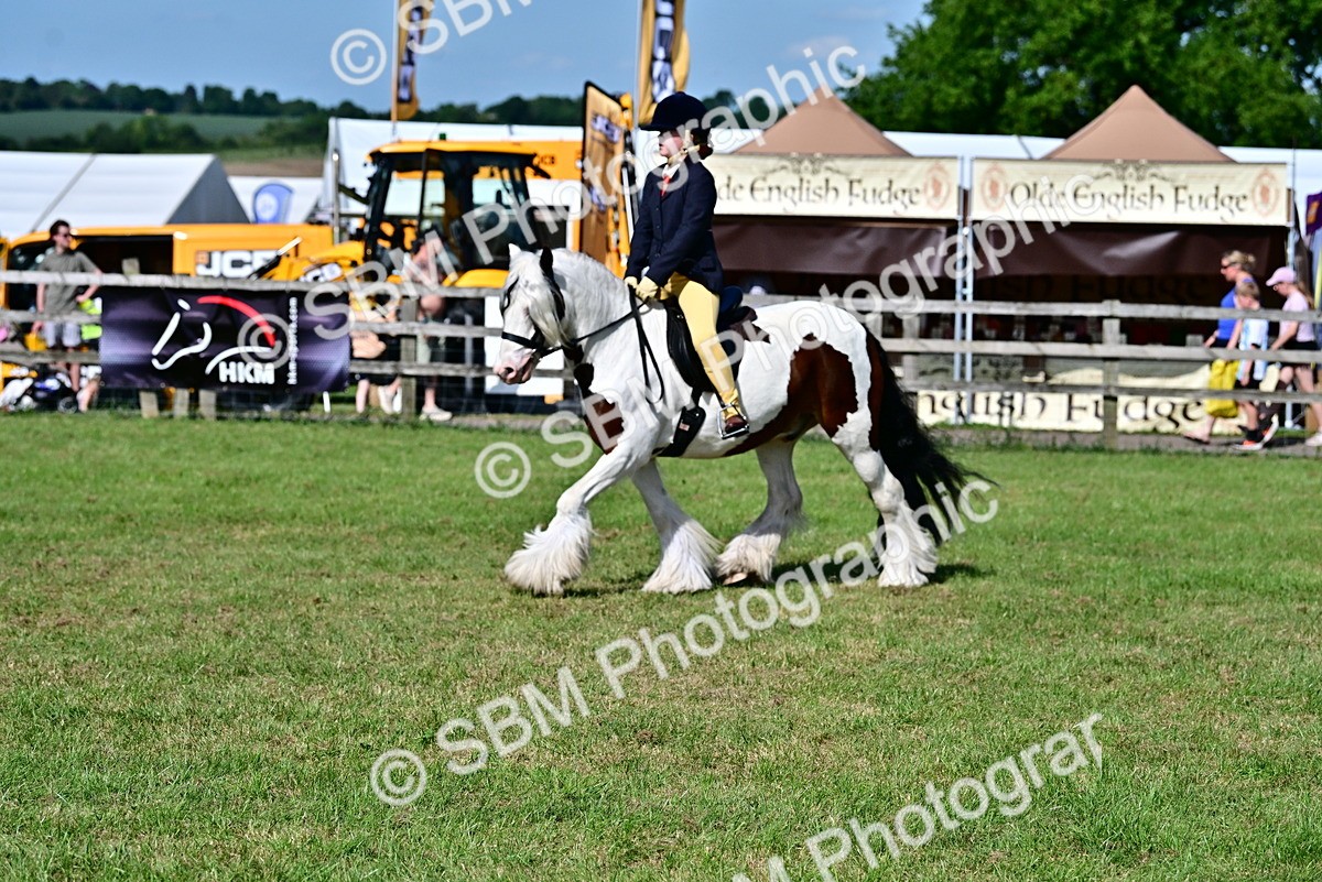 SBM_09402 - Class 63-65 - Traditional Gypsy Cobs In Hand & Ridden