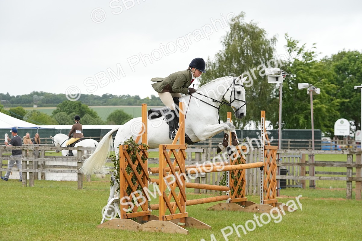 SBM_12596 - Class 97-98 - LIHS BSHA Rising Star Working Show Horse Hunter