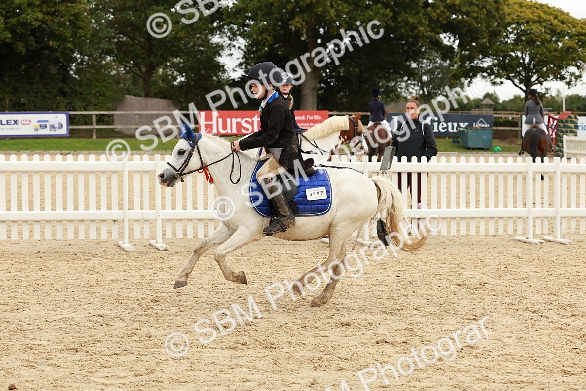 SBM_65375 - Supreme Championship 50cm & 55cm