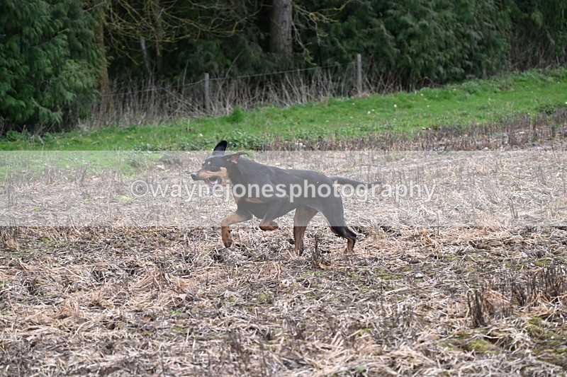 WJ6_9536 - Line Four