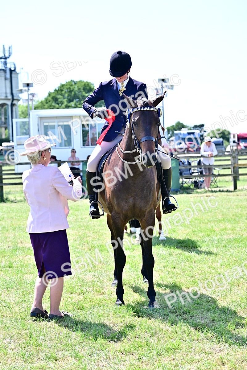 SBM_17517 - Class 95-97 - BSPS LHS Performance Ponies