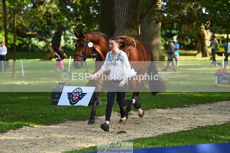 230524-171606-01389 - 171-SLANEYSIDE_COOLEY-Lara_Chapple-WEDTrotUp+DR