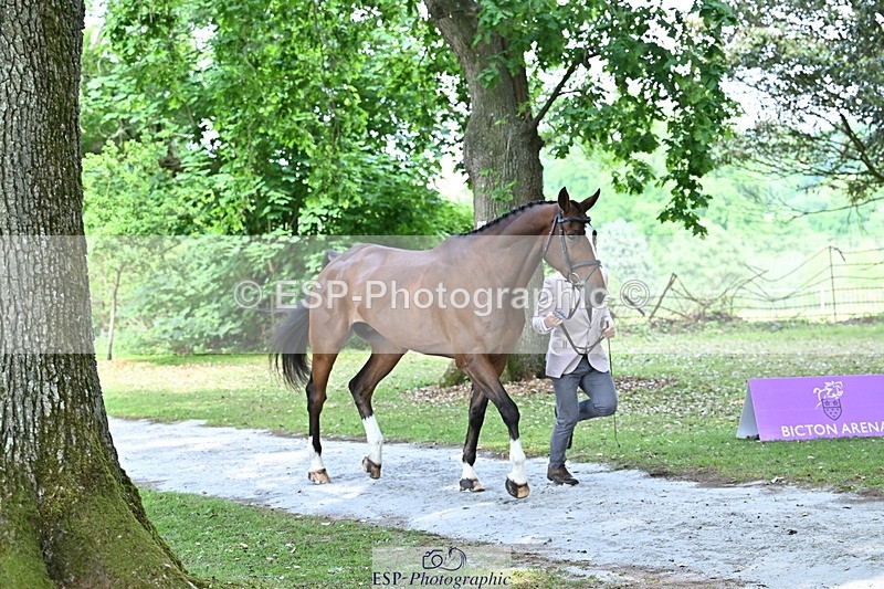 250521A-151120-00324 - B-303-Alexander.Bragg-SHANNONDALE.ALDO