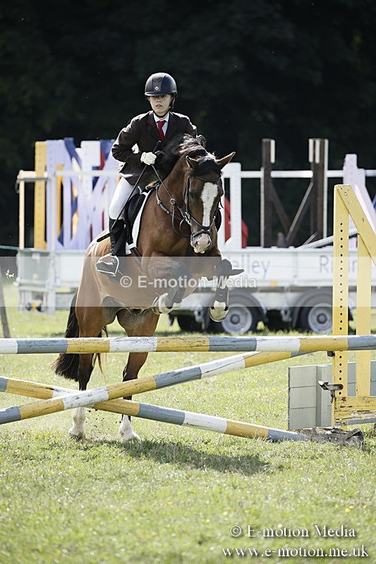 BVR090918 502 - BVRC Dressage and Show Jumping 09/09/18