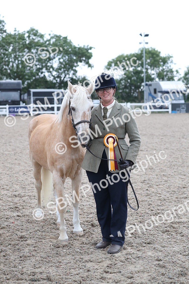 SBM_18007 - Class 317 IH Pure bred Horse/Pony