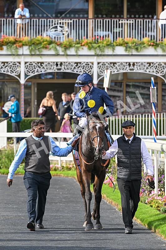 060926-Race 6-Power Fizz-8859 - Race 6 4.25pm Eboracum Security Handicap