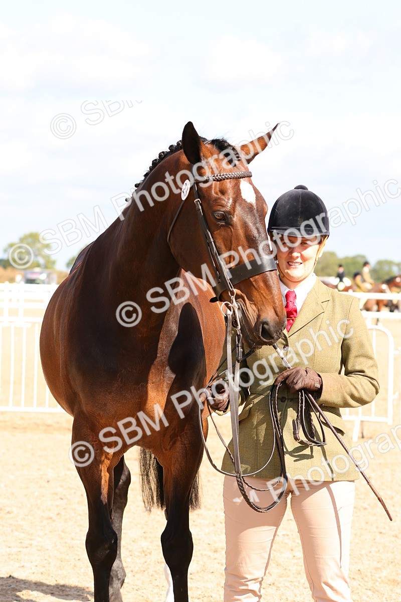SBM_11710 - Class 208 - IH Veteran Horse