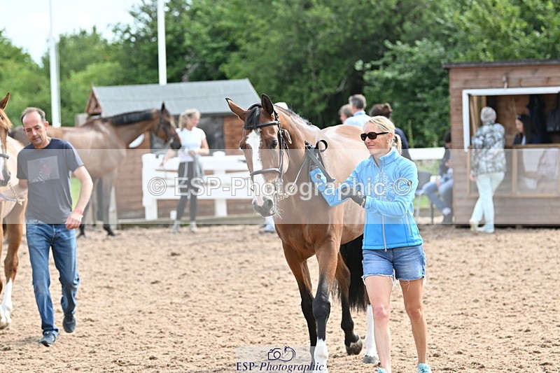 240717A-165545-03544 - Trot Up 4pm to 5pm