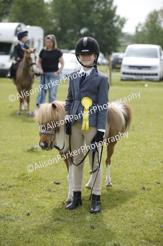 20260426-1962 - Class 8 - Prettiest Mare