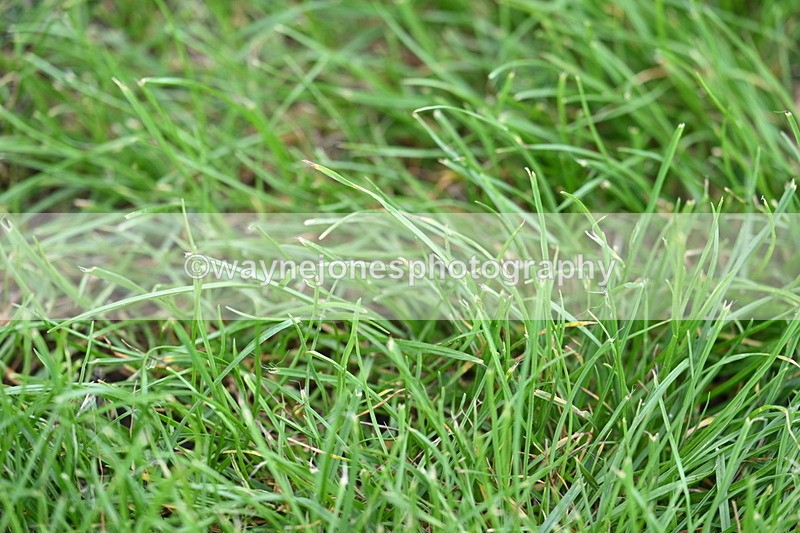 WJ7_4930 - Time 12:38 to 13:28