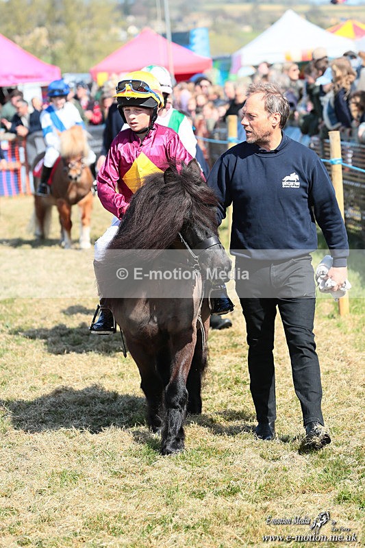Shet 060426 81 - Shetland Pony Racing Paxford Races Easter Mon 06/04/26