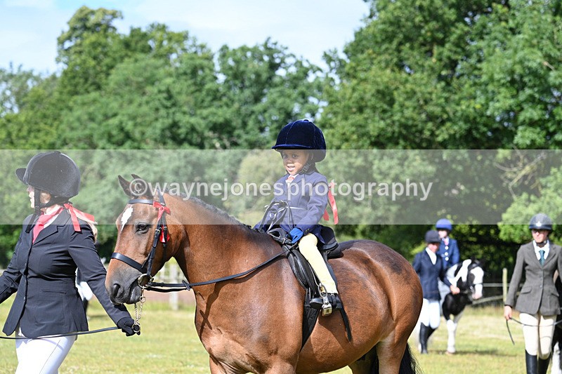 WJ7_4331 - Class 1 Lead Rein Pony