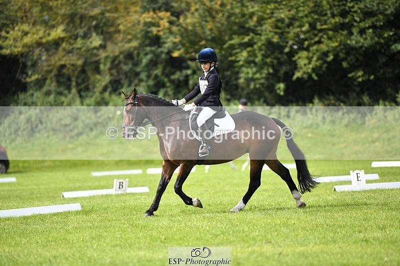 230826-110856-15748 - Sections C & D 10 to End