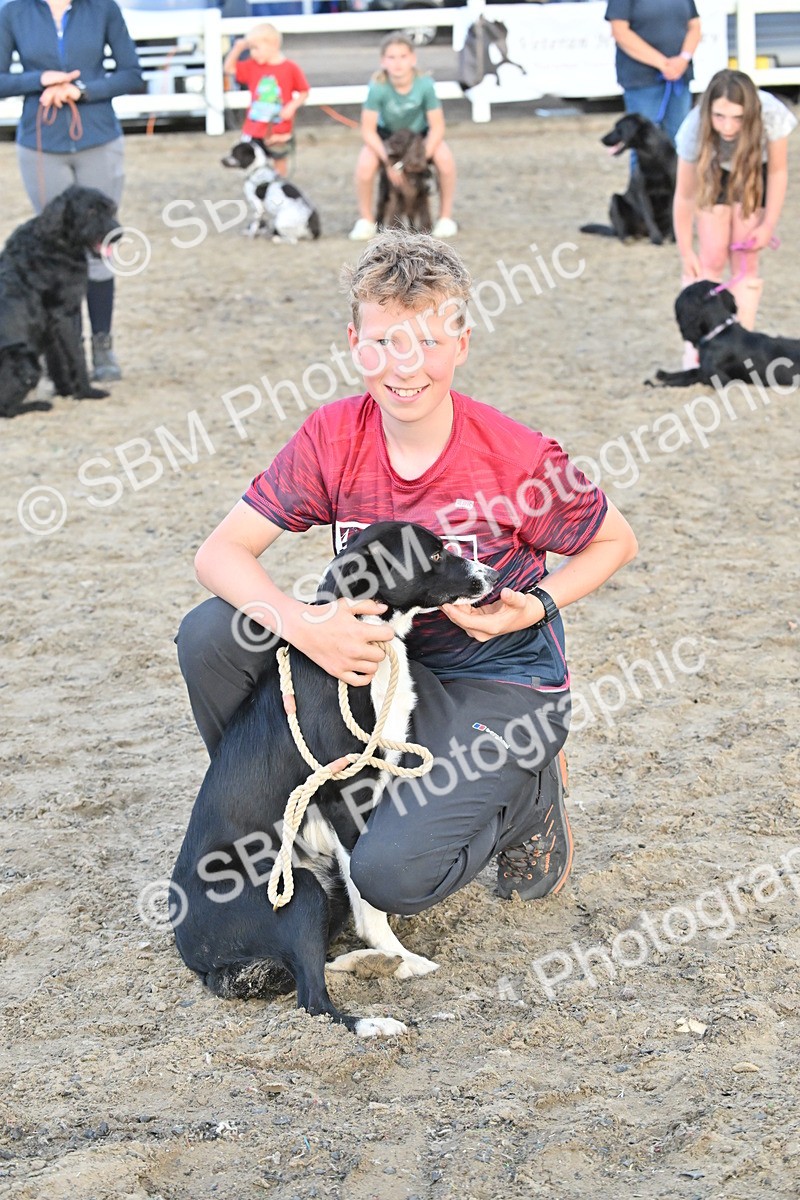 SBM_09629 - Lorry Dogs