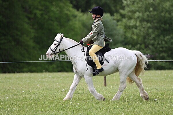 IMG_2736 - Working Hunter