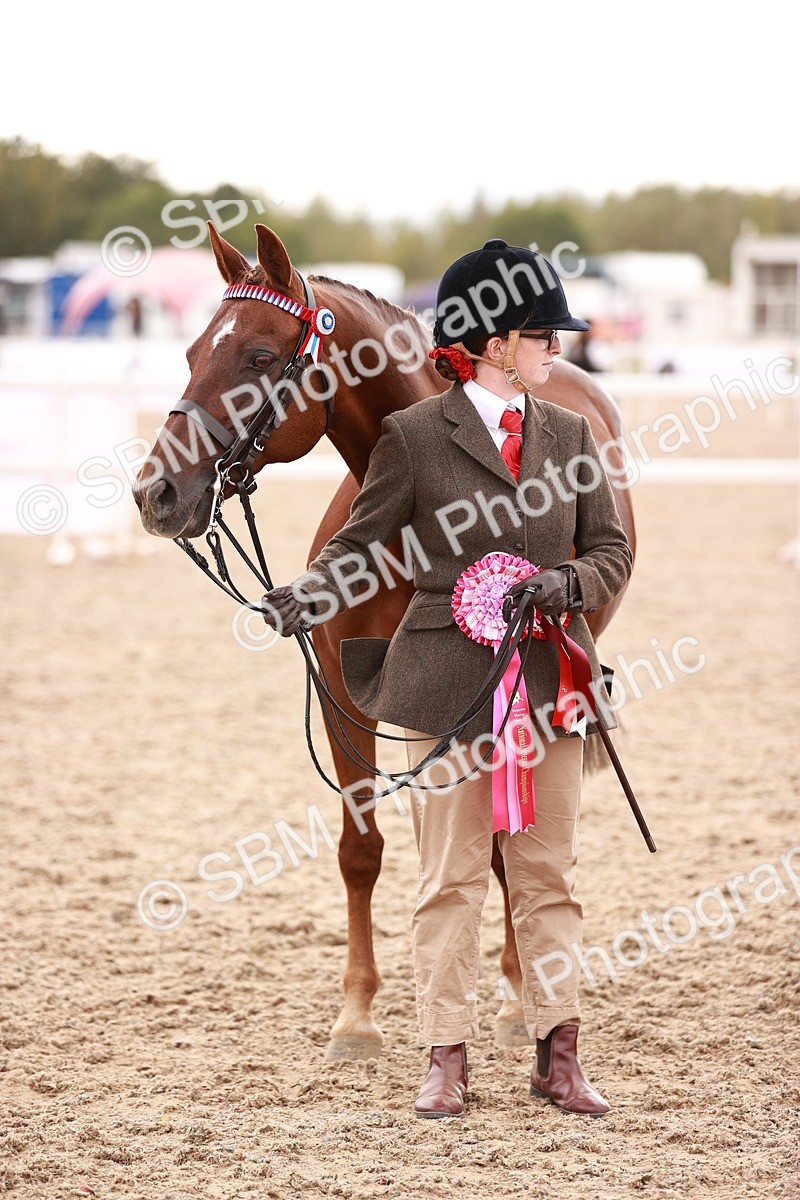 SBM_16939 - Class 415 - Horse-Pony Judge would most like to take home
