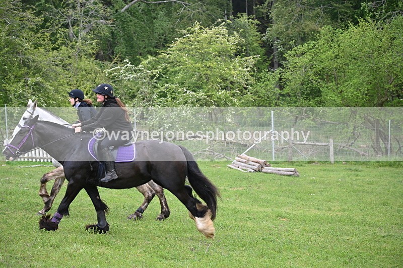 WJ6_2493 - A Camera