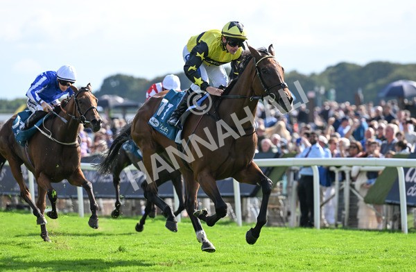 220825-214 Cape Flora - Race 5 4.10pm Assured Data Protection EBF Fillies' Handicap