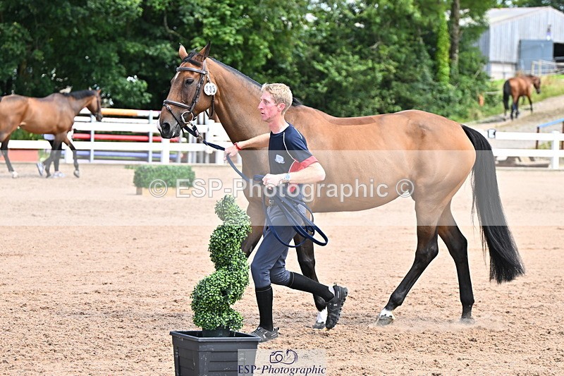 240718A-105256-01344 - Trot Up 12pm to 1pm