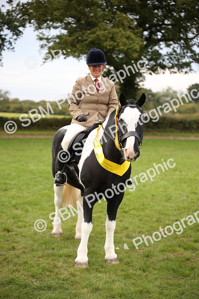 SBM_72405 - S67 - Show Cob Ridden