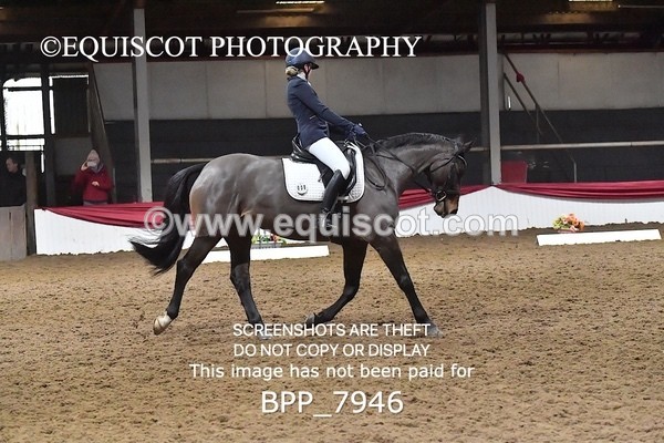 BPP_7946 - ELEM TEST 6