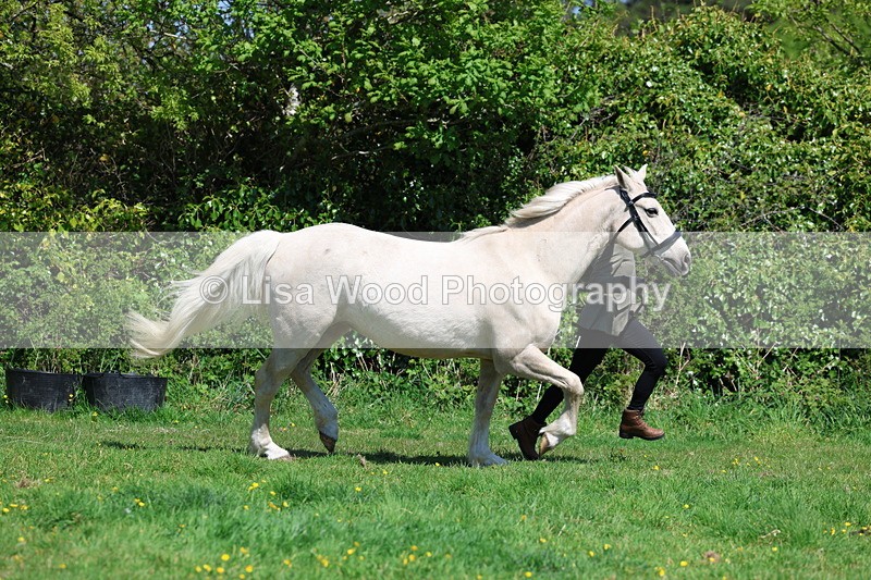 3E7A0247 - Class 19: Best Coloured in Hand