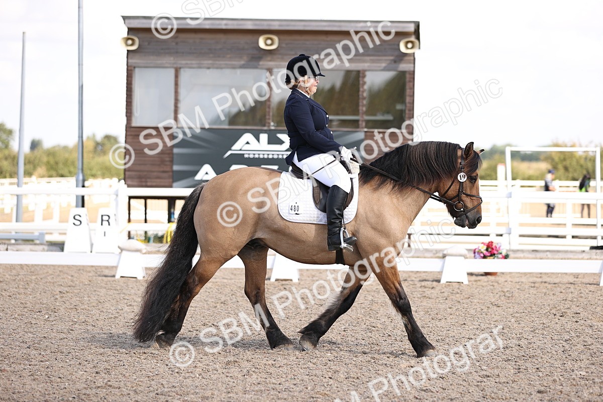 SBM_03595 - CLass 35 Intro 3