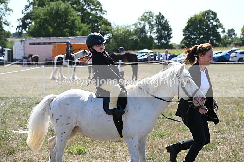 WJ6_7898 - Class 36 Lead Rein