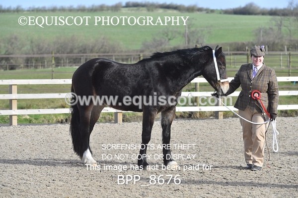 BPP_8676 - RING 2 - M&M