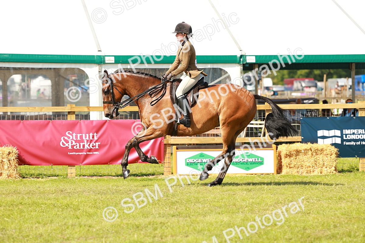 SBM_12054 - Class 66-69 - RIHS Ridden Hunters Inc Small Hunter
