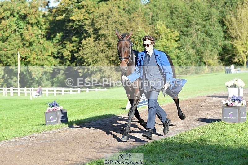 231022-102608-22476 - 462-SILVER.BAY-Marshall.David.Johnson-TrotUp+SJ