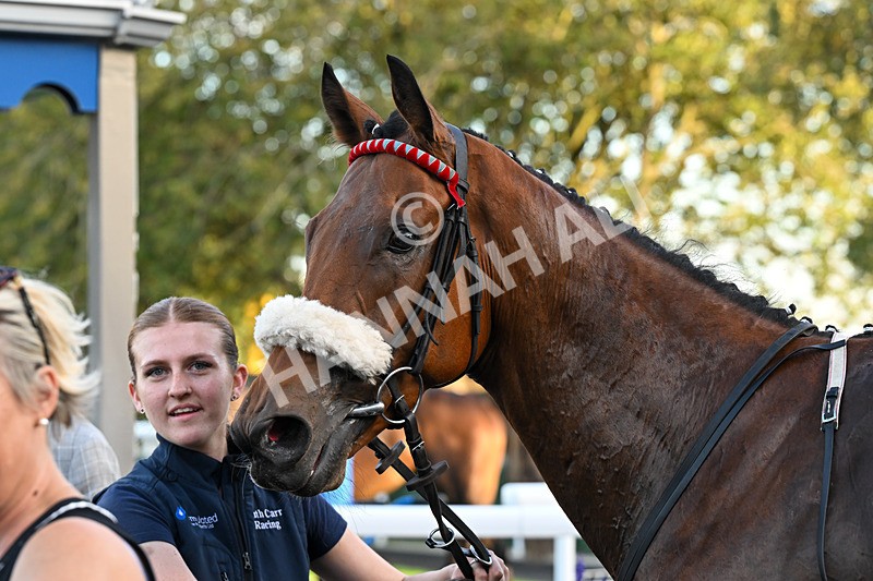 220926-Race 8-Horwich-5570 - Race 8 5.35pm End Of Season Handicap