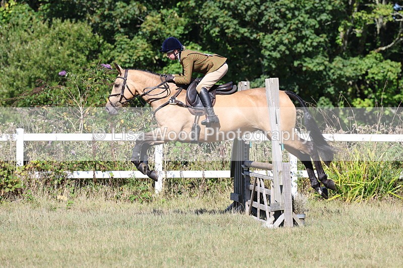 3E7A5791 - Class 5: Working Hunter 90cm