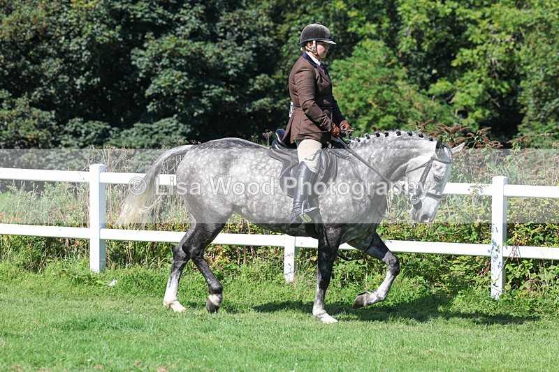 3E7A8338 - Class 4: Novice working Hunter