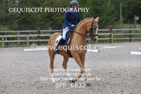 BPP_6832 - 3 D HARRISON