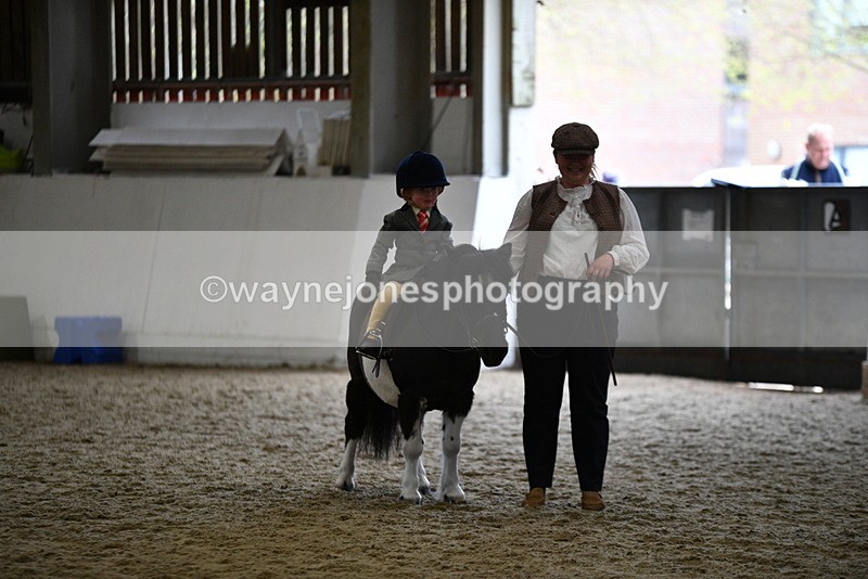 WJ5_6678 - Class 10 Childs Pony