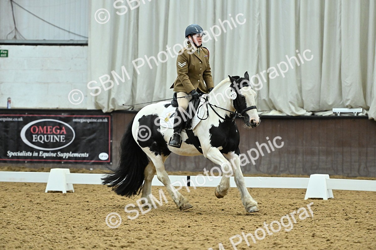 SBM_007387 - Class 81 - Novice 3