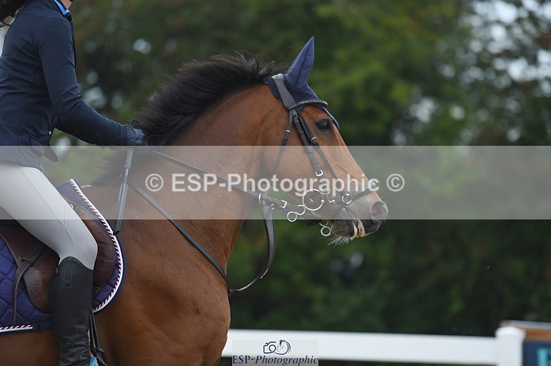 230916A-110412-03601 - Cls 21 British Novice & 90cm Open