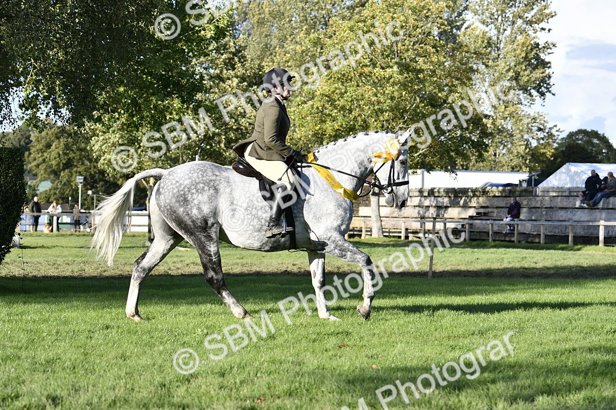 SBM_51711 - Working Hunter Supreme Championship