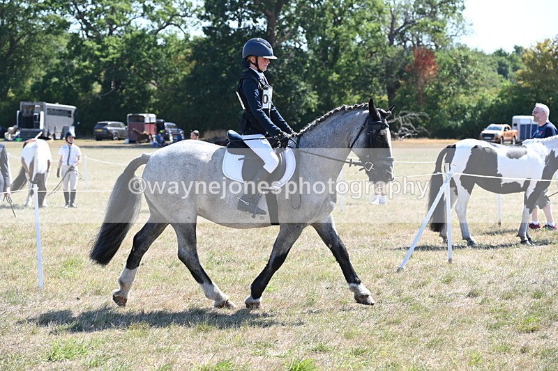 WJ6_8304 - Class 37a Best Loan Pony Ridden