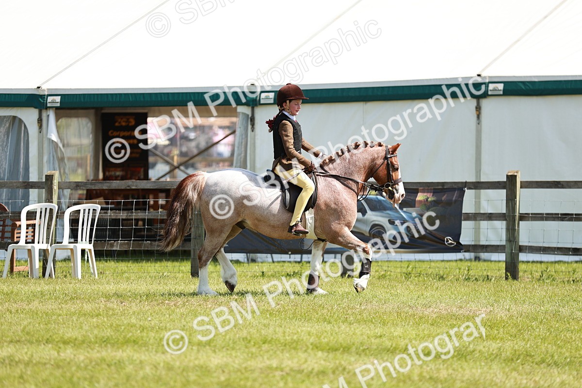 SBM_13510 - Class 108-109 - BSPS LIHS Open Gradle & Nursery Stakes